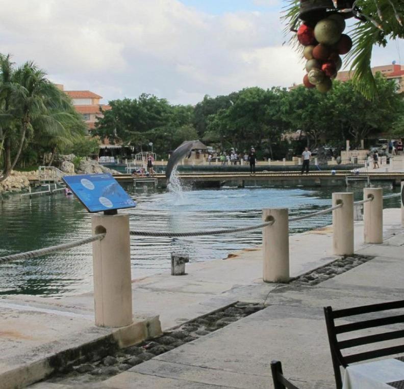 Puerto Aventuras, Departamento A Unos Pasos De La Playa Apartment Exterior photo